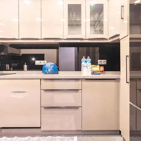 Luxury In The Heart Of Nisantasi 公寓 伊斯坦布尔